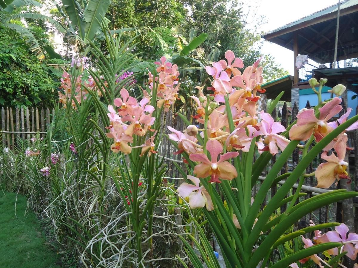 Lhoyjean Garden Hostel Batuan 外观 照片
