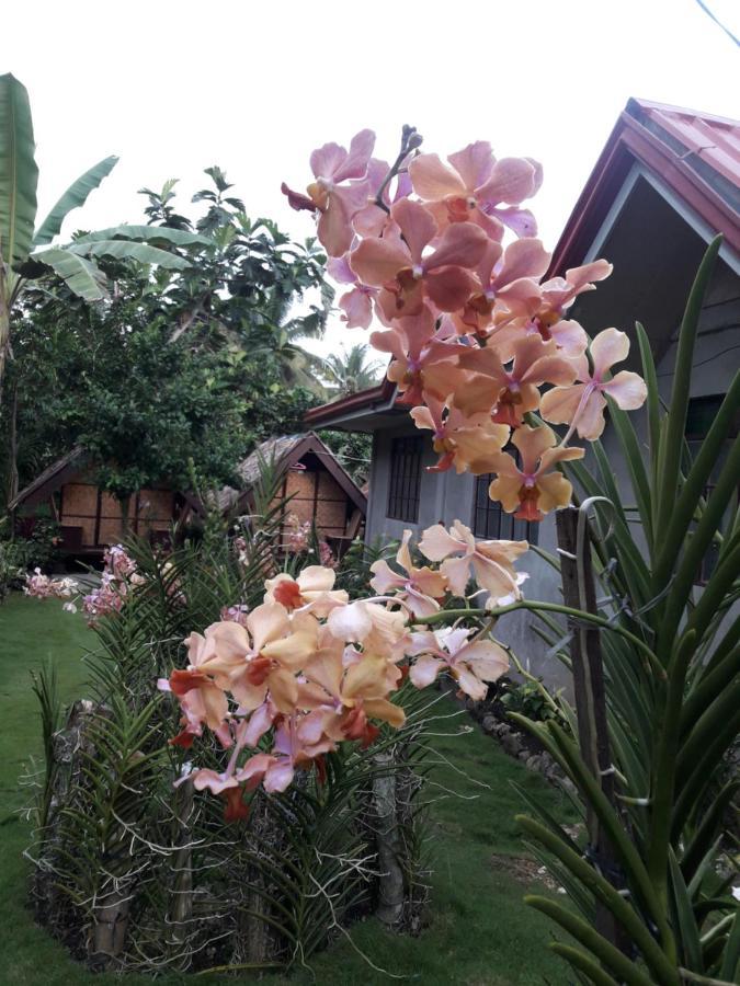 Lhoyjean Garden Hostel Batuan 外观 照片