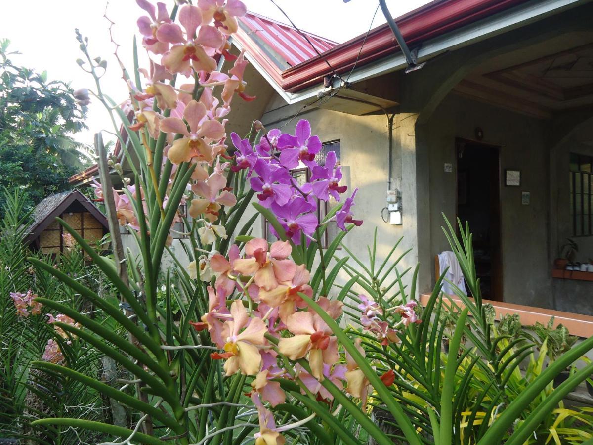 Lhoyjean Garden Hostel Batuan 外观 照片