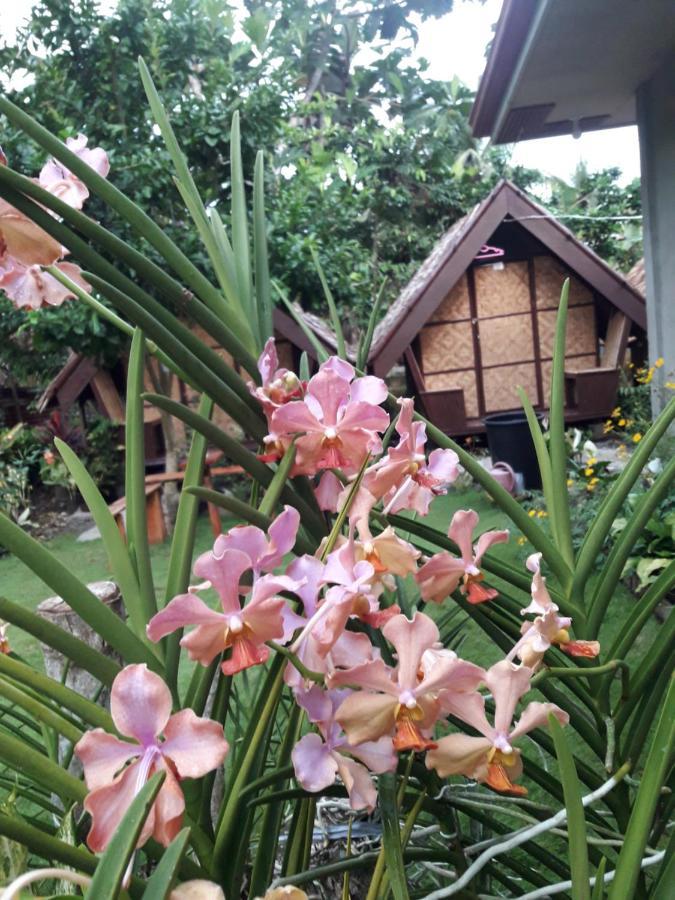 Lhoyjean Garden Hostel Batuan 外观 照片
